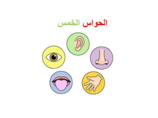 الحواس الخمس by Nesrine Joubeily