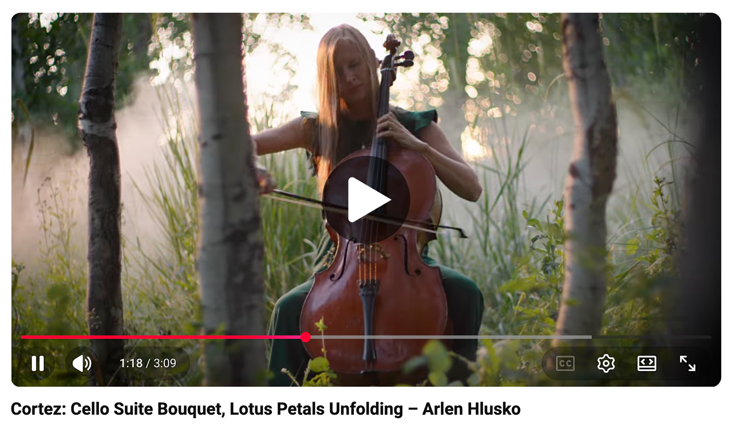 ArlenHlusko_YouTube_Cortez_1500w_transparent.png