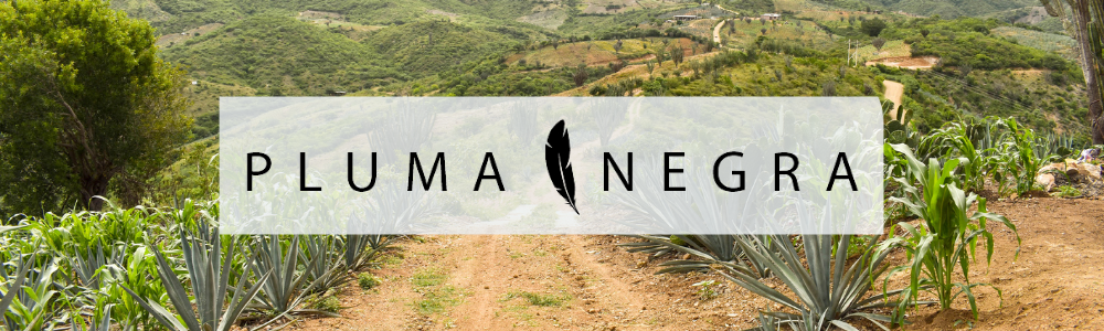 bottom banner image