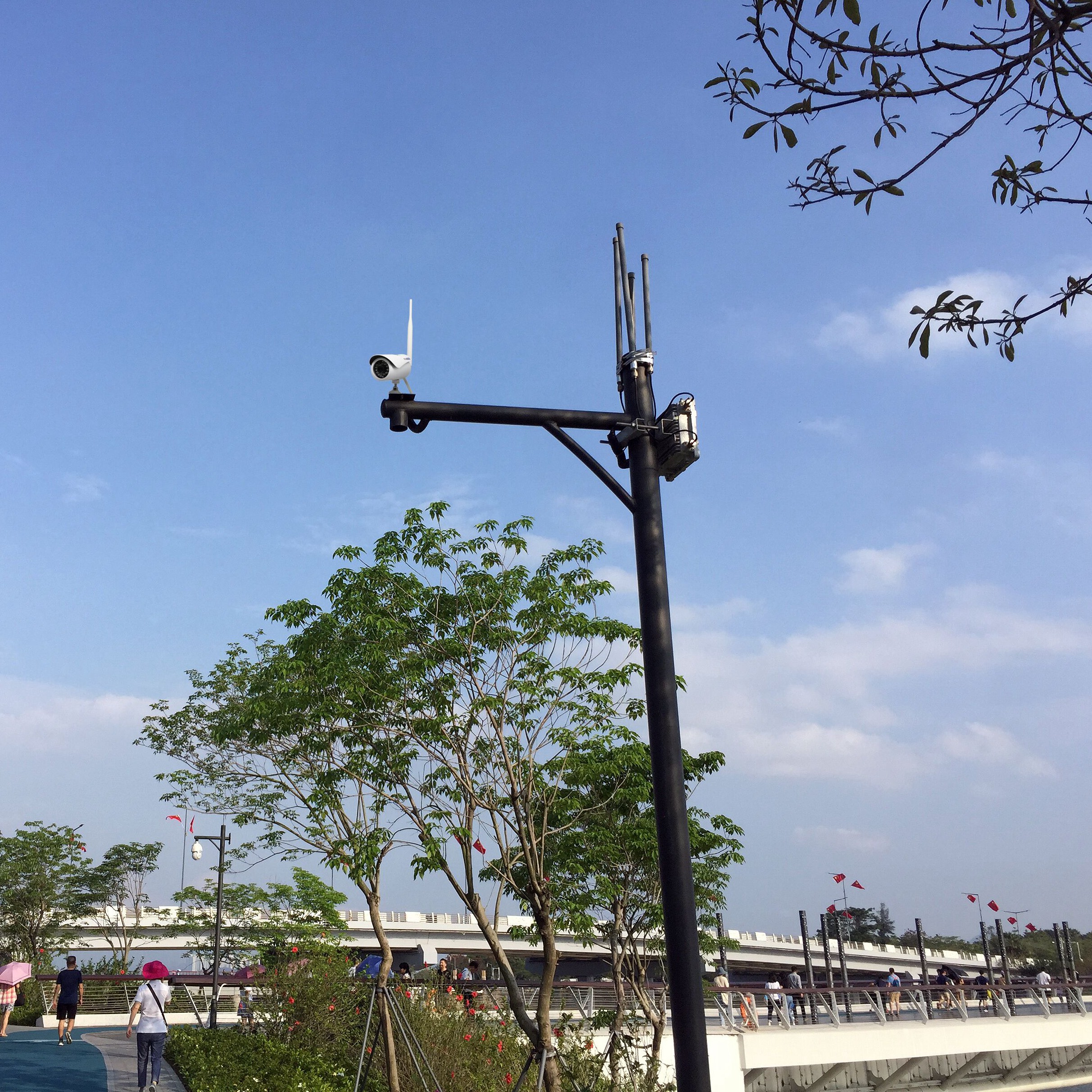 Public-outside-camera