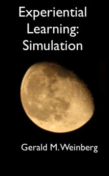 Experiential Learning 3: Simulation