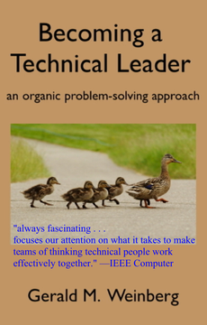 Becoming a Technical Leader