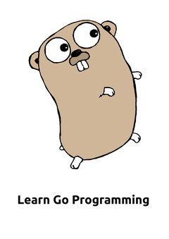 Learn Go programming
