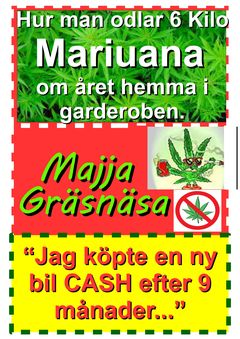 Mariuana: Odling i garderoben...