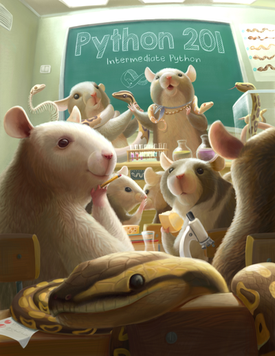 Python 201: Intermediate Python by Mike Driscoll