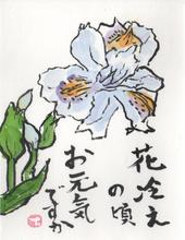 Read-Eval-Print-λove