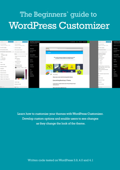 Beginners' guide to WordPress Customizer
