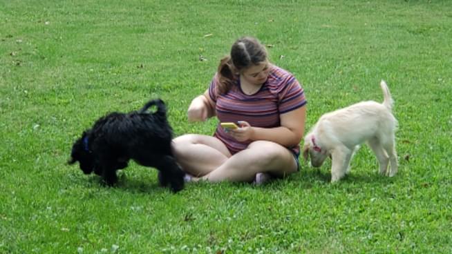 How Would You Like To Make Money With Your Dog?