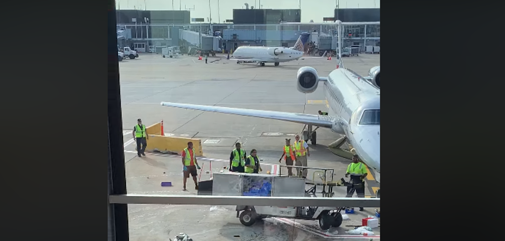 Out of Control Beverage Cart (Video)