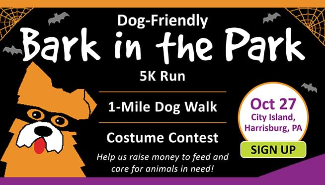 Bark in the Park • Oct 27th at City Island