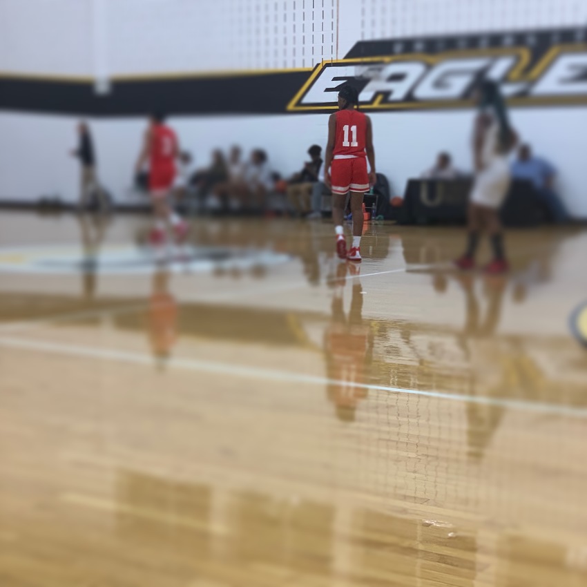 Ecorse (Varsity) The D Zone Girls Basketball