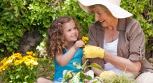 Summer Gardening Checklist