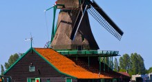 Two Week Trip Plan to the Netherlands