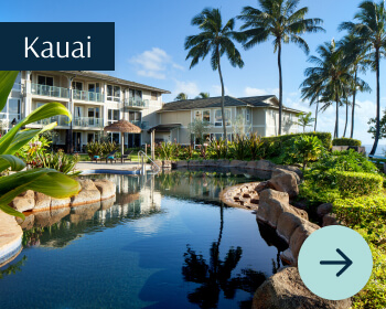 kaui view