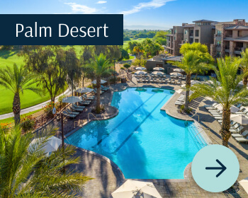 palm desert View