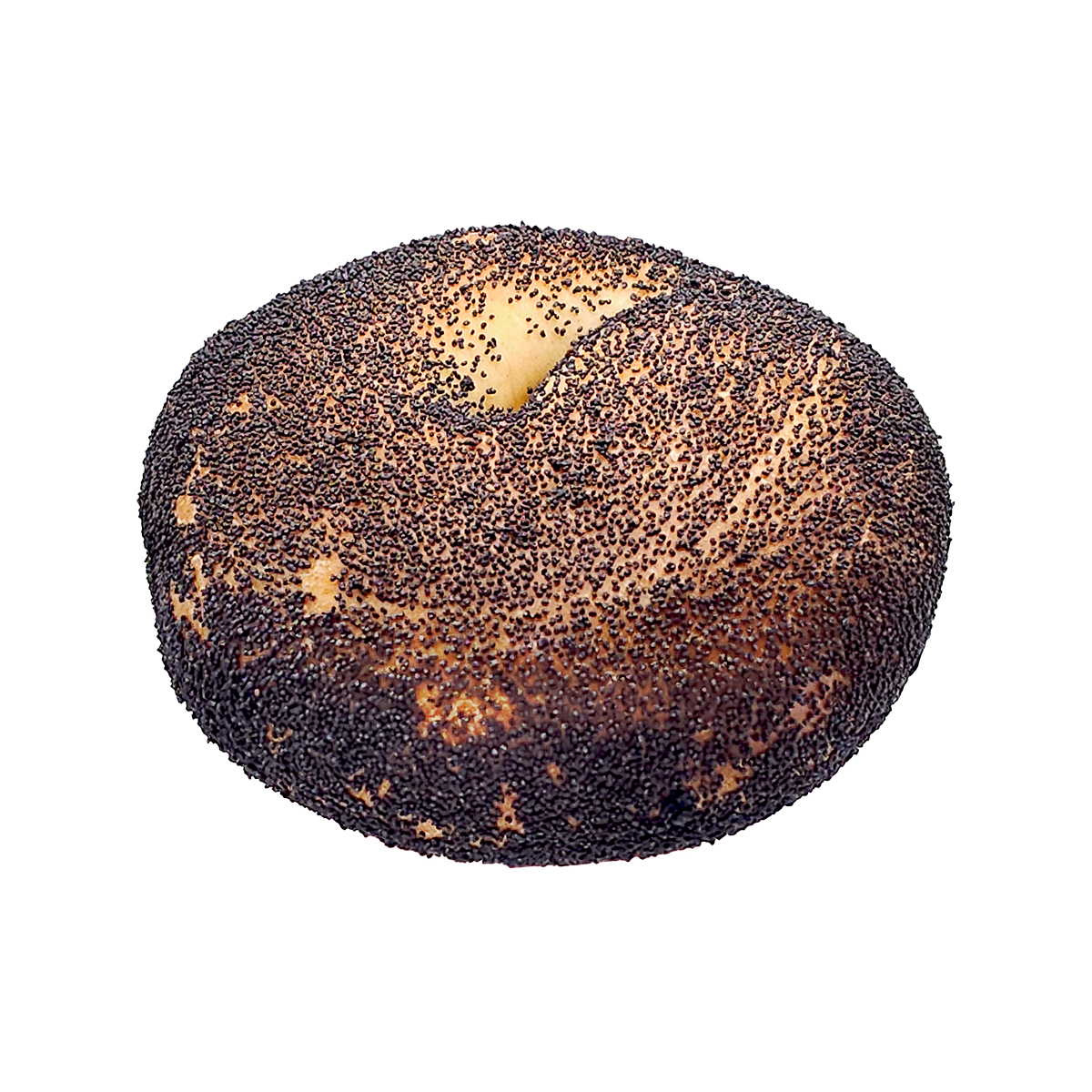 Photo of Poppy Seed