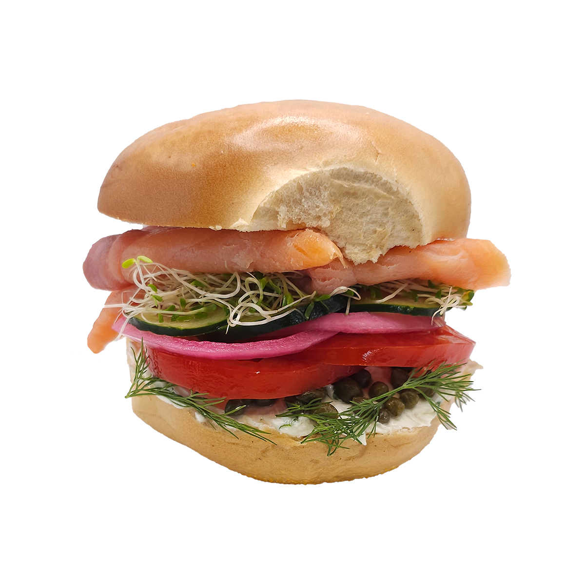 Photo of Oy Vey