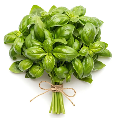 Basil, Fresh - Bunch