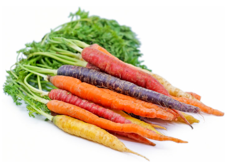 Carrots, Rainbow with Tops FL- Bunch