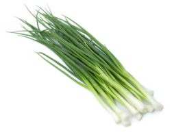 Onion, Green/scallion- $1.99ea