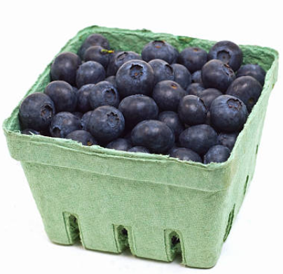 Blueberries - Punnet