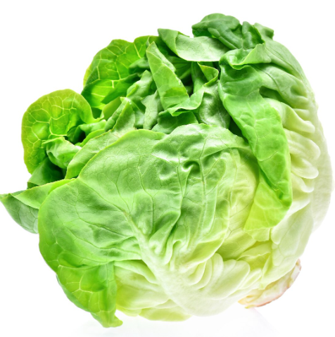 Butter Lettuce- Each