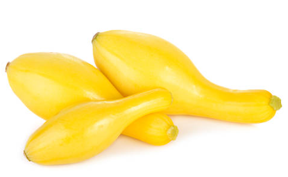 Yellow Squash FL
