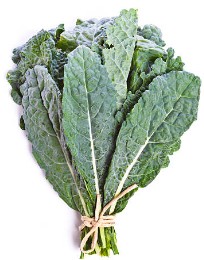 Kale, Lacinato- Bunch