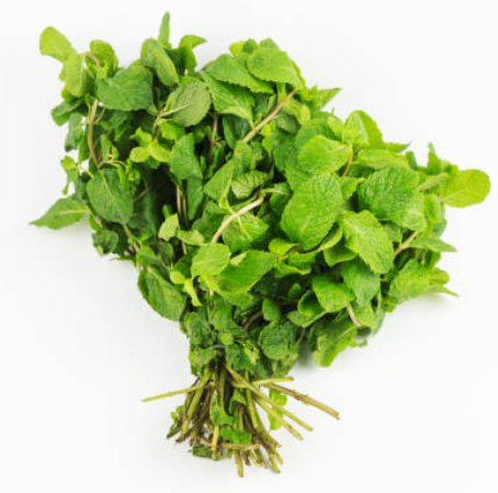 Mint, Fresh- Bunch