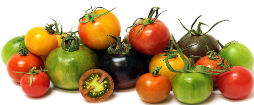 Tomato, Heirloom Mixed- $4.99/lb