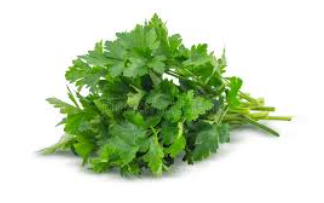 Parsley, Italian- Bunch
