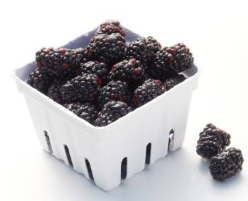 Blackberries - Punnet