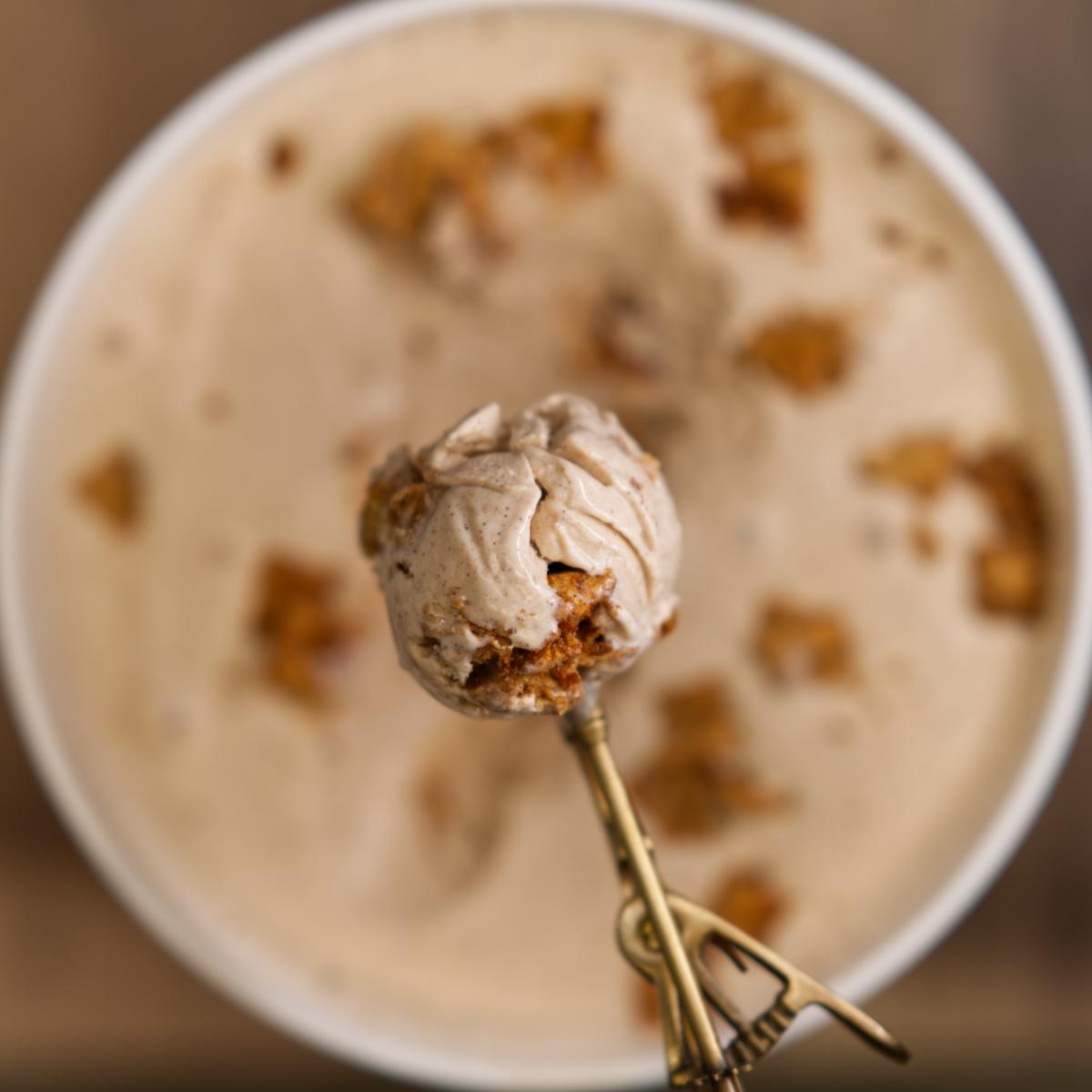 Toasted Cinnamon Bits ice cream