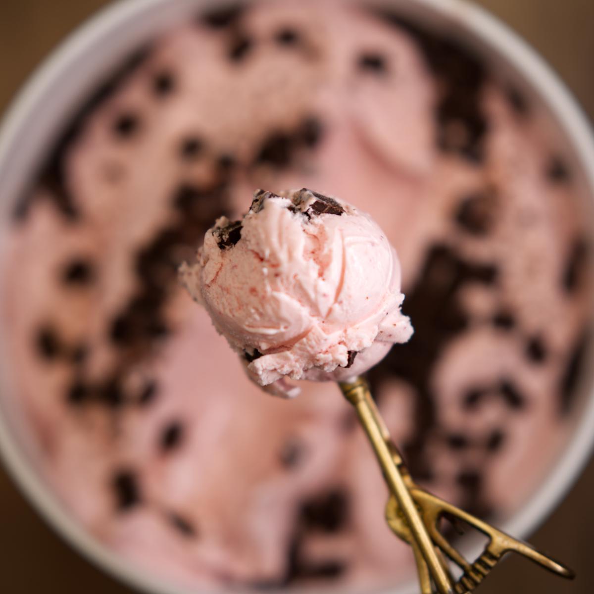 Chocolate Covered Strawberry