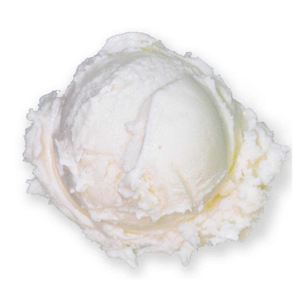 Vanilla (Dairy Free)