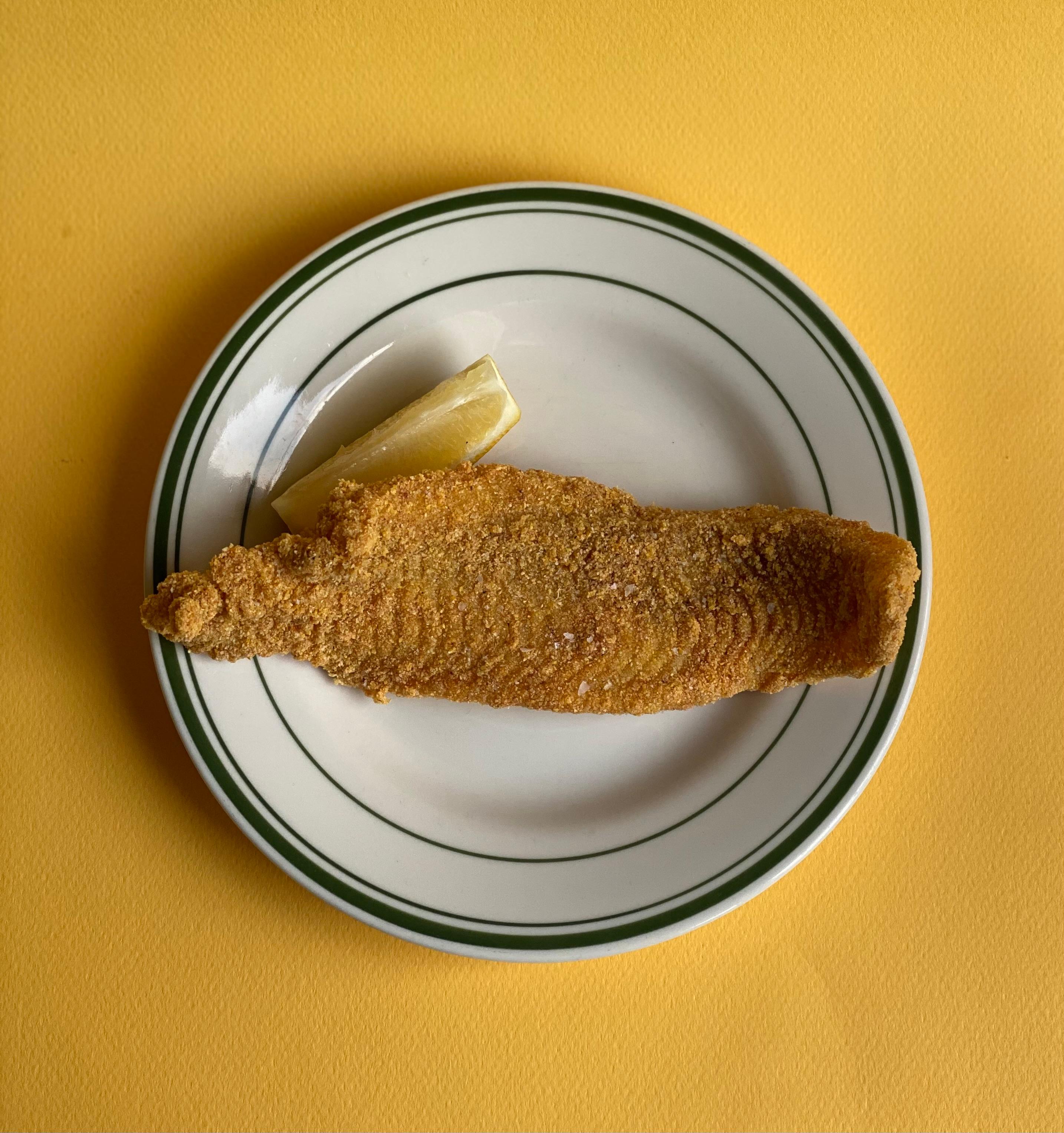Catfish Filet