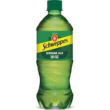 Ginger Ale - 20 oz platic bottle