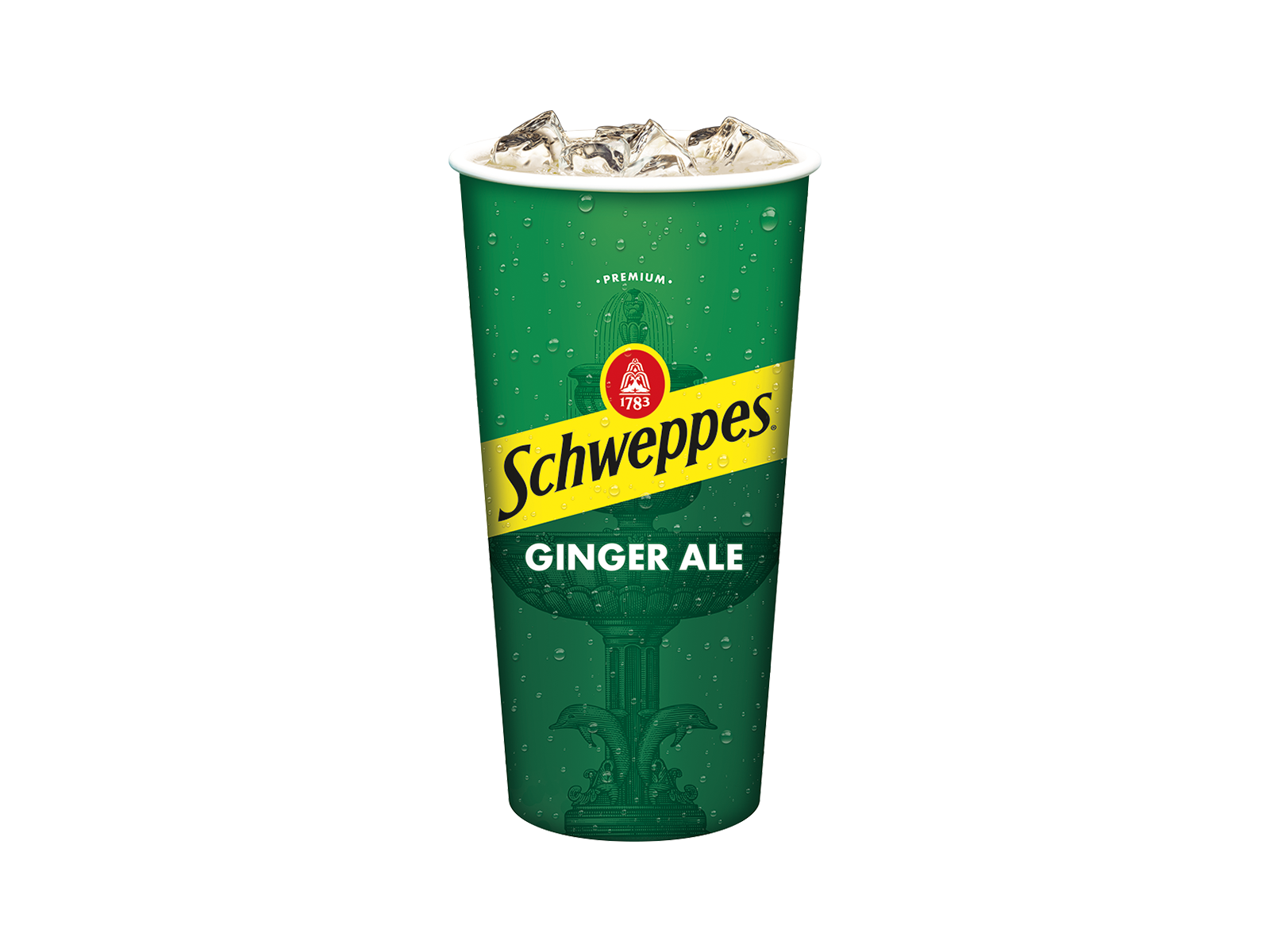 Schweppes Ginger Ale - Fountain