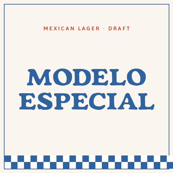 MODELO ESPECIAL DRAFT