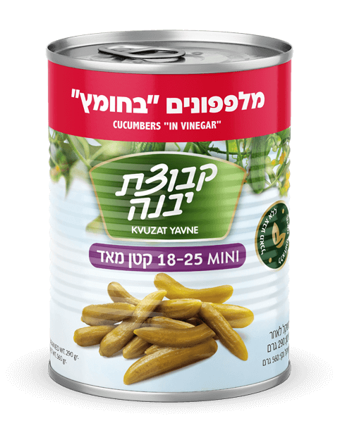 Vinegar Pickles
