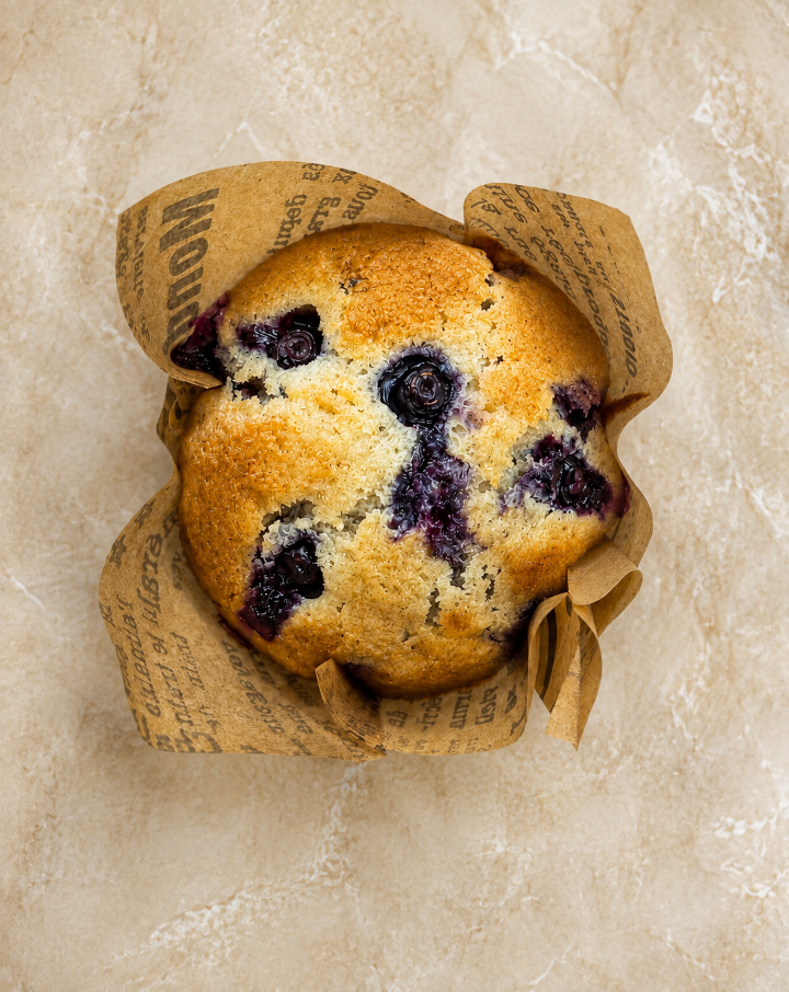 Blueberry Muffin