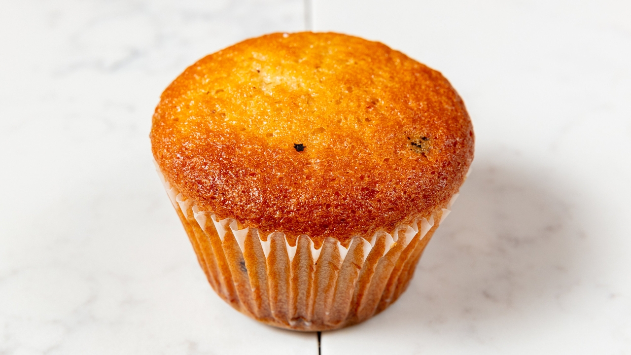 Fresh Muffins