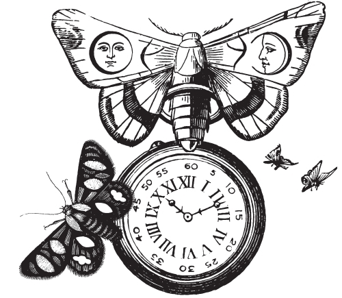 A visualization of the menu item "Edmunds Bound By Time IPA"