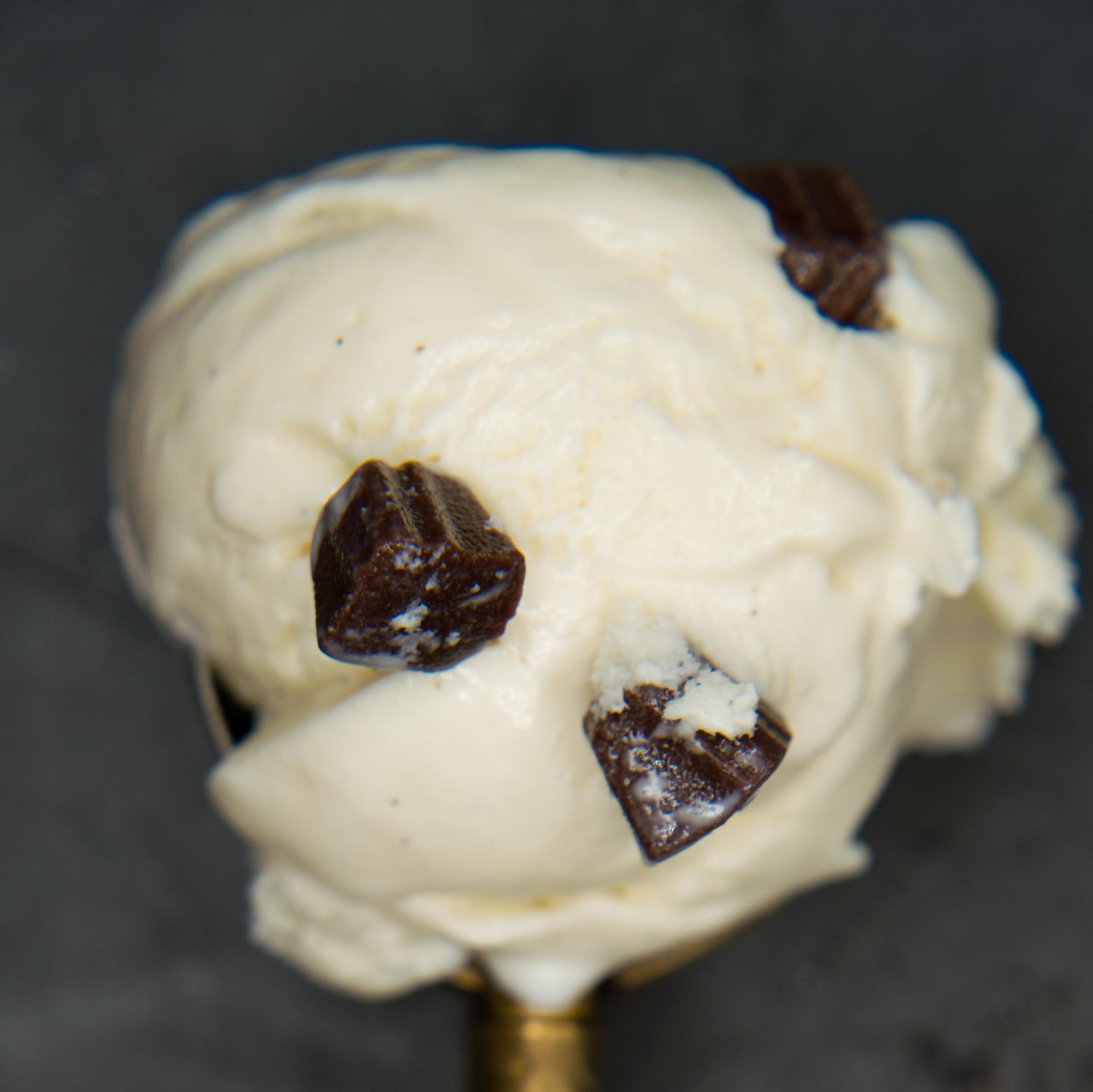 Bourbon Vanilla Bean Truffle ice cream