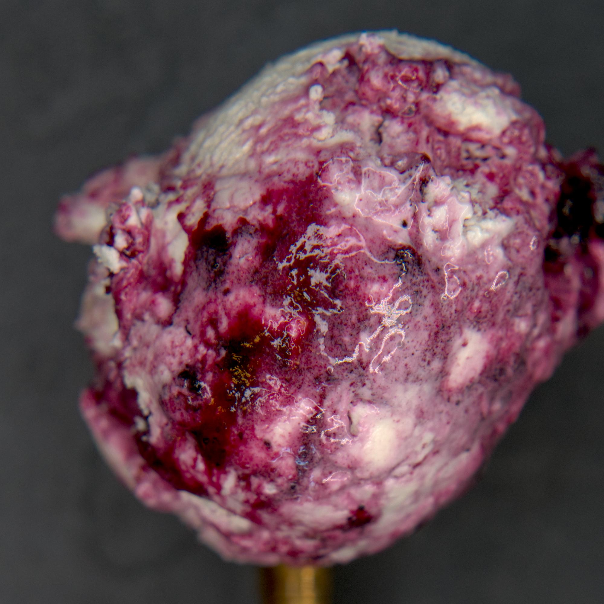 Lemon & the Blueberry Swirls ice cream