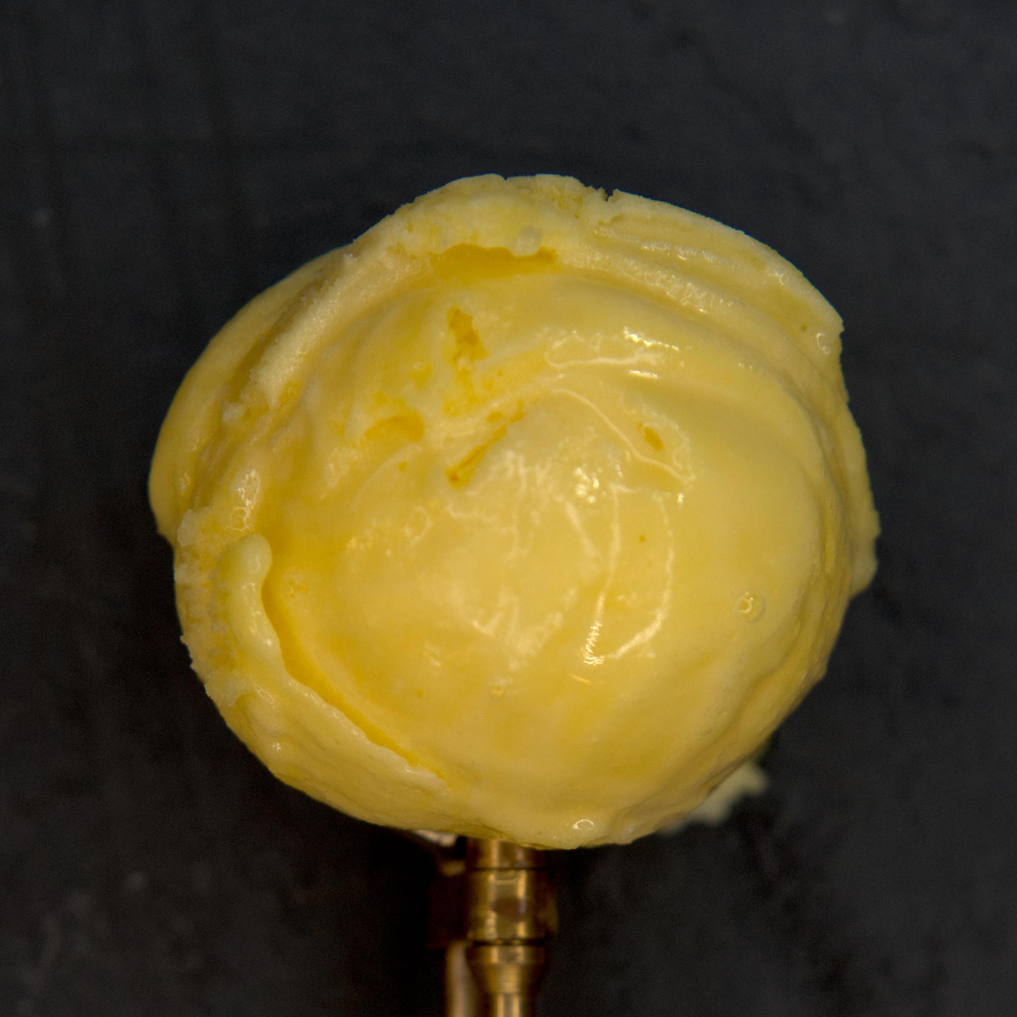 Tiki Room ice cream