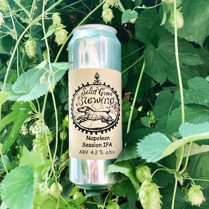 Selin's Grove Brewing Co.