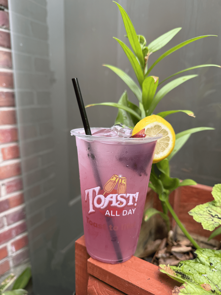 Sparking Hibiscus