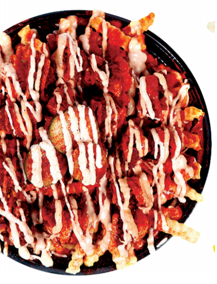 REG - NASHVILLE TENDER FRIES