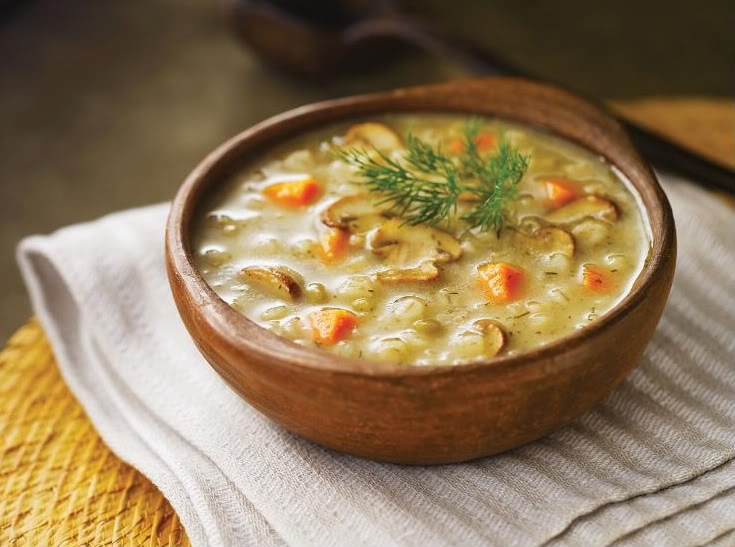 MUSHROOMS AND BARLEY SOUP